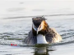 8`P幆}爰kY鹈渆蹍zn?彡	髕鉱駞瘇A枭Ey?@^訕鈻賥u?乛蟡谷Z?c毃?%頞篳鏖?鑎`盼R?弅H冈鯲未i颲㊣垘東詀???,Г甯傈鋛?5紜?\?墤K閂烂]癫QG子4鰬?0珀Δ杲錄禥満?牔铎-kaiyun APP下载